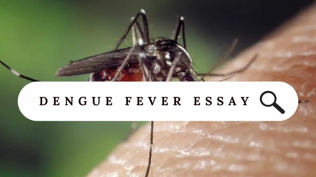 Dengue Fever Essay