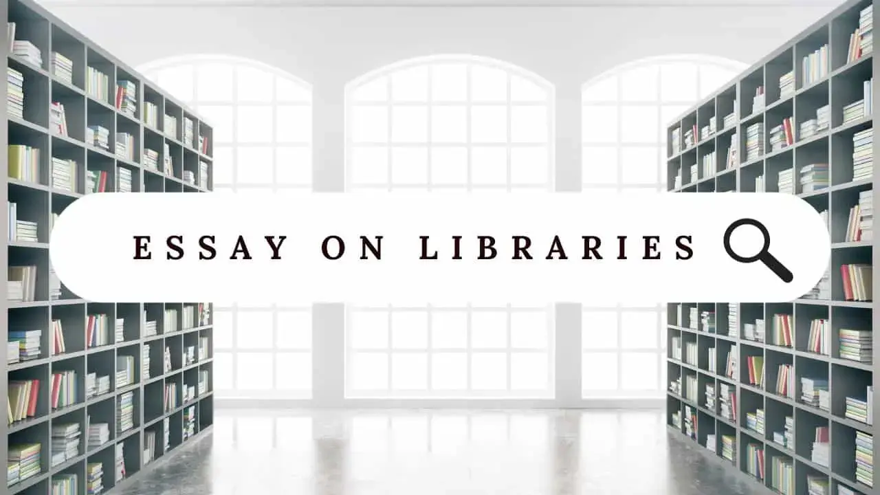 Essay on Libraries