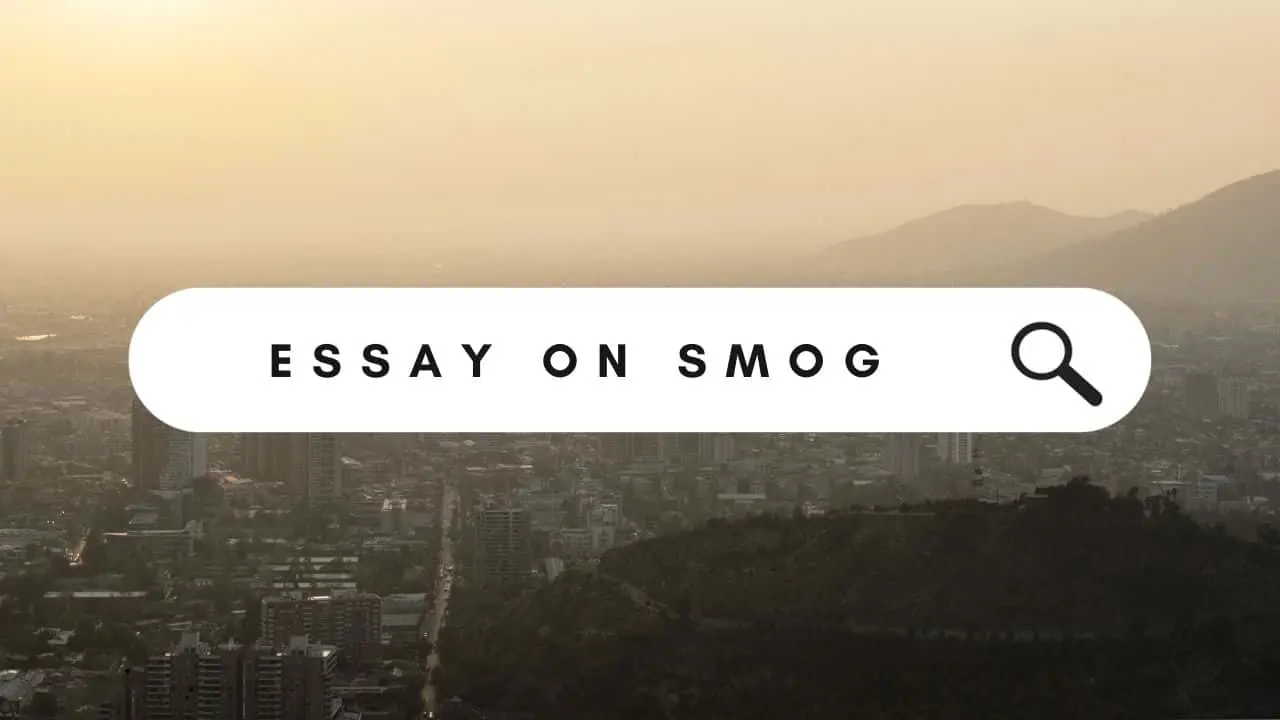 Essay on Smog